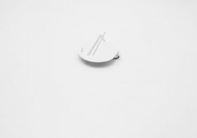 Haier Flap - 0020208790 49130211 Filter Door