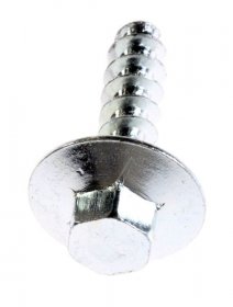 Screw - 46000559 Special Bolt [Candy Hoover]