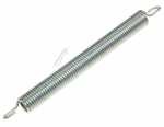 Spring - 1007766 Hinge Spring [Amica]